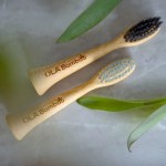 4 têtes remplaçables, brosses à dents Zerro, souple, fait au Québec, Ola Bamboo, un choix écologique