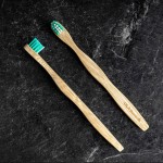 Brosse à dent en bois de bambou pour chats et petits chiens, fait au Québec par Ola Bamboo, un choix écologique