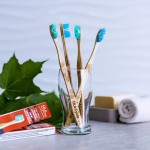 Brosse à dent en bois d'érable, vert, fait au Québec par Ola Bamboo, un choix écologique