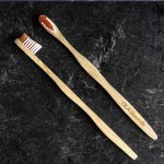 Brosse à dent en bois de bambou pour animaux, fait au Québec par Ola Bamboo, un choix écologique